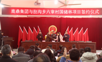尊龙人生就是博Z6林业集团与拉沟乡就国储林项目首单签约