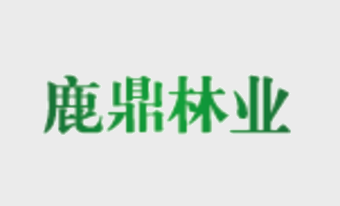 广西尊龙人生就是博Z6林业集团发起人首次筹备会议在我场召开