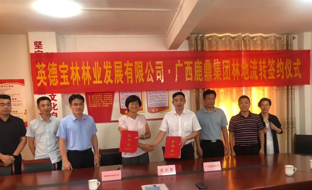 尊龙人生就是博Z6集团与宝林公司签定9100亩林地林木流转和谈