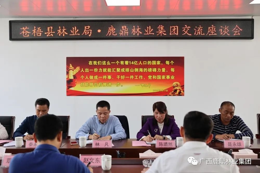 尊龙人生就是博Z6集团与苍梧县林业局召开互换座谈会1.jpg