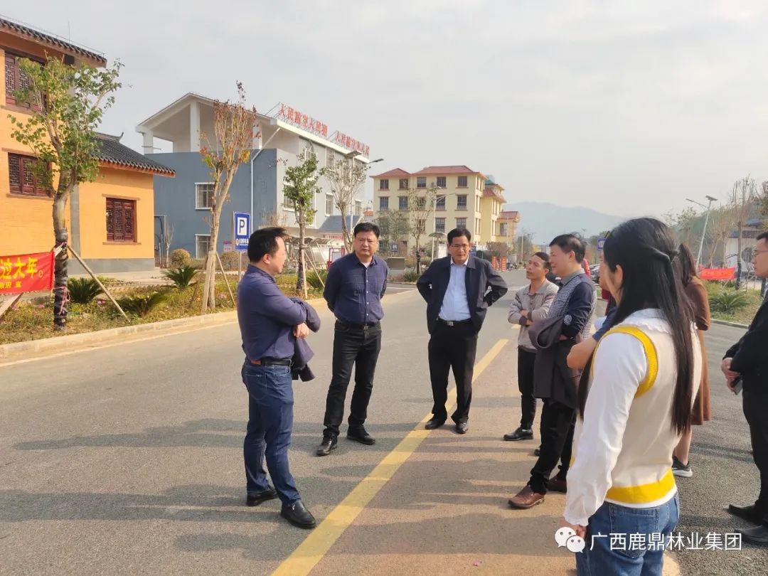 自治区林业局调研组到鹿寨县调研领导国储林建设现场推动会筹备工作.jpg 自治区林业局调研组到鹿寨县调研领导国储林建设现场推动会筹备工作.jpg