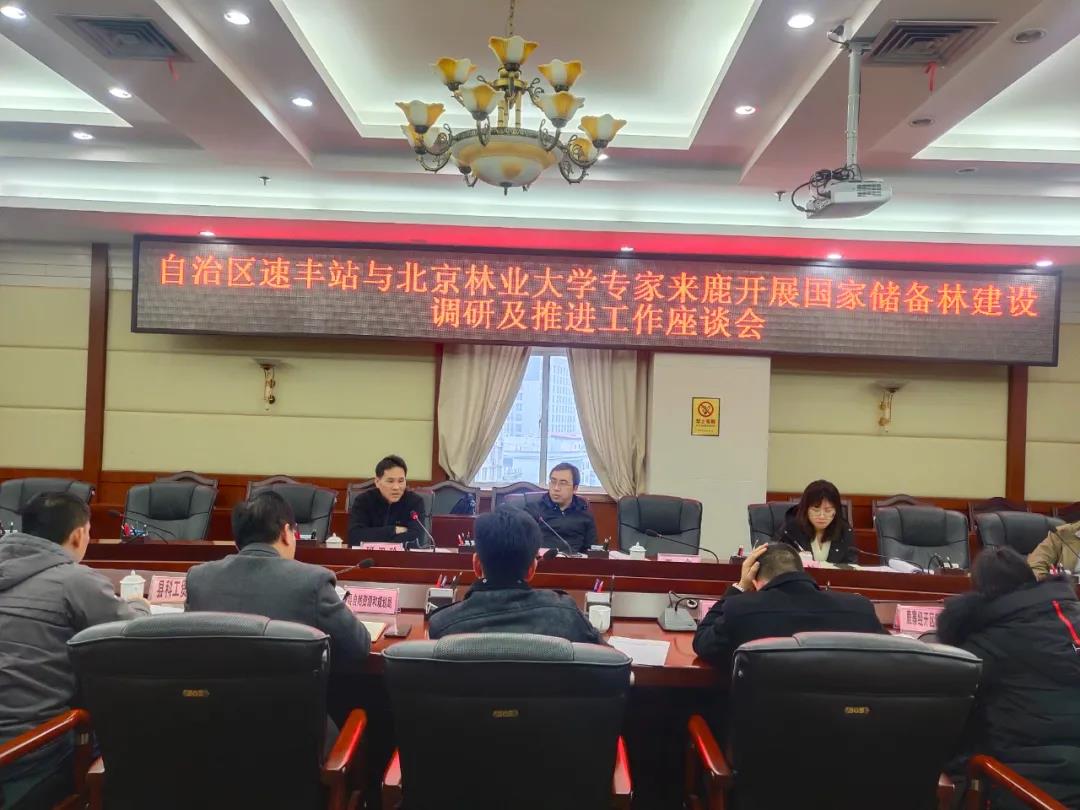 强化调研领导 全力推动国度储蓄林项目建设.jpg 强化调研领导 全力推动国度储蓄林项目建设.jpg