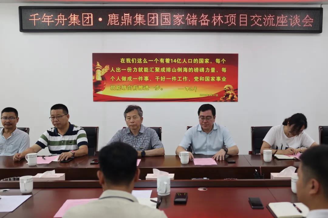 千年舟集团到尊龙人生就是博Z6集团互换国储林建设项目2.jpg