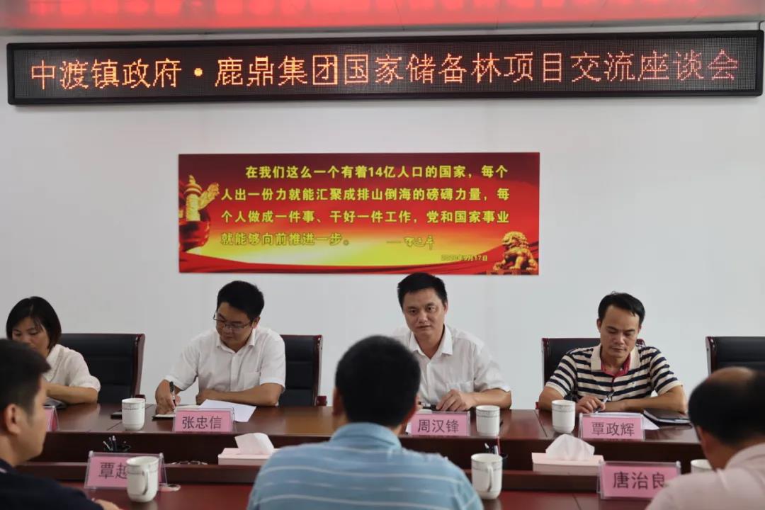 中渡镇当局到尊龙人生就是博Z6集团互换国储林项目建设1.jpg